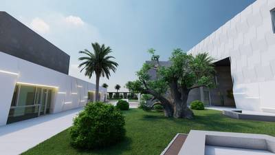Patio con olivo centenario y palmera entre los volúmenes blancos de la residencia